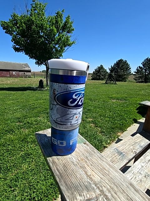 Tumbler Ford, 30 oz