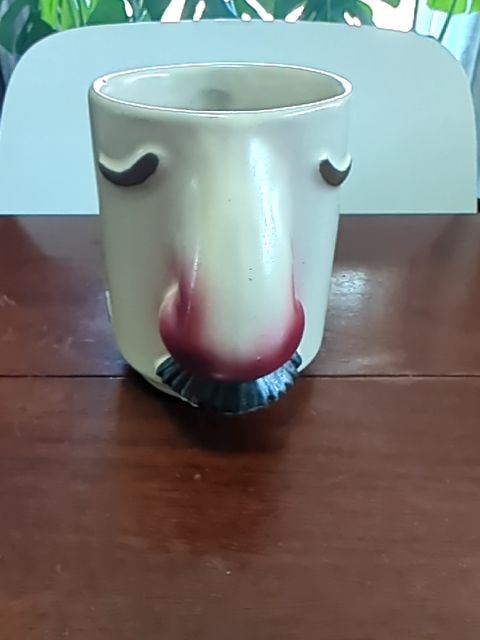 Face Mug