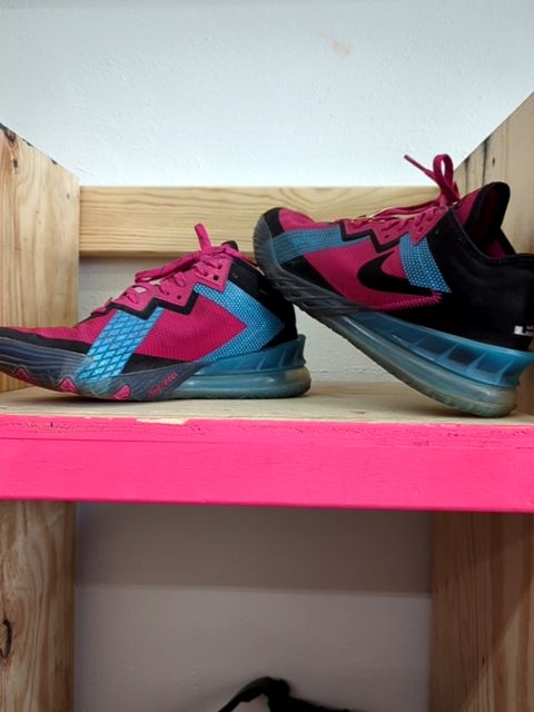 Modern Clothing Nike Labron Shoes, 9