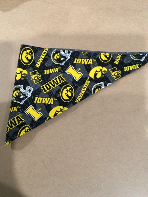 Hawkeyes  Dog bandanna- tied, Small