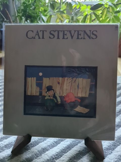 Vinyl Cat Stevens teaser and the firecat