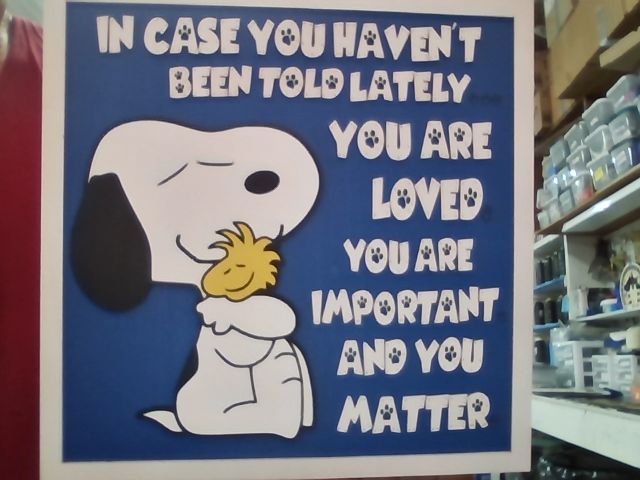 Snoopy in case