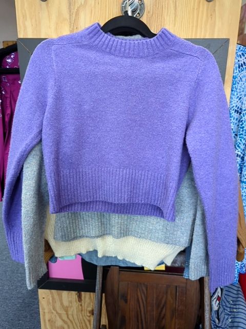 Modern Clothing Purple sweater, XS